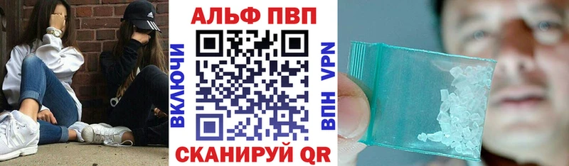 Alfa_PVP СК  Луга 