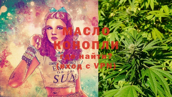 индика Аркадак