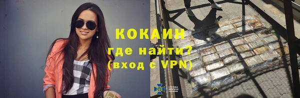 индика Аркадак