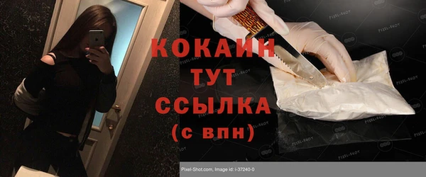 индика Аркадак