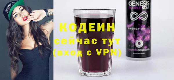индика Аркадак
