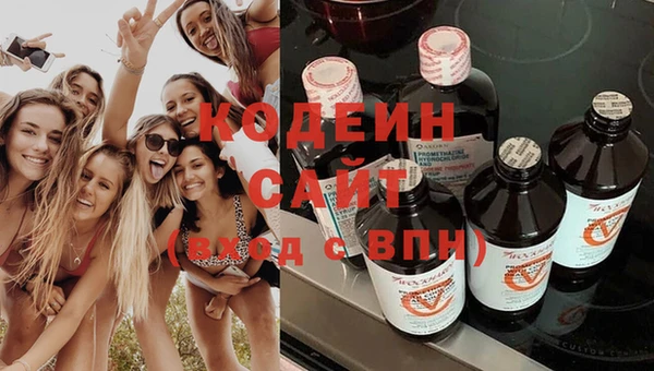 индика Аркадак