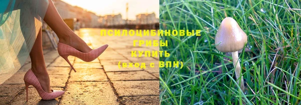 индика Аркадак