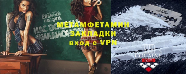 индика Аркадак