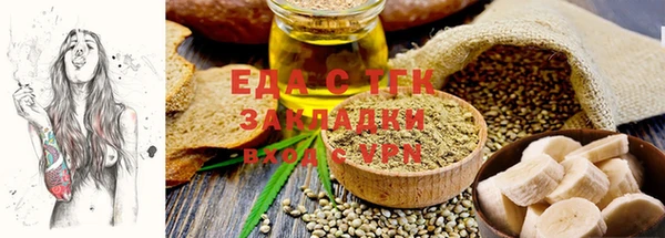 индика Аркадак