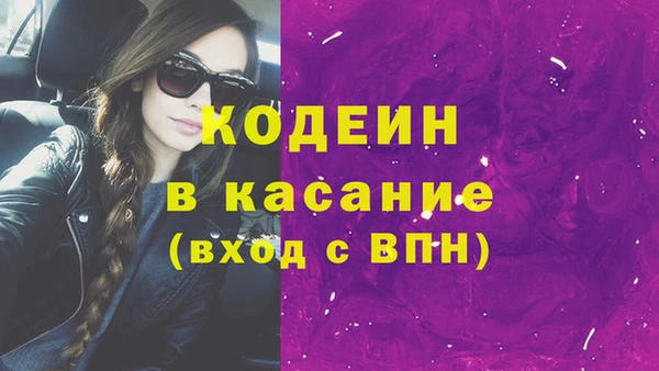 индика Аркадак