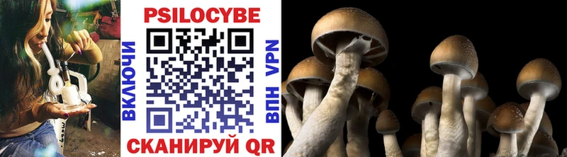 купить   Луга  blacksprut рабочий сайт  Псилоцибиновые грибы MAGIC MUSHROOMS 