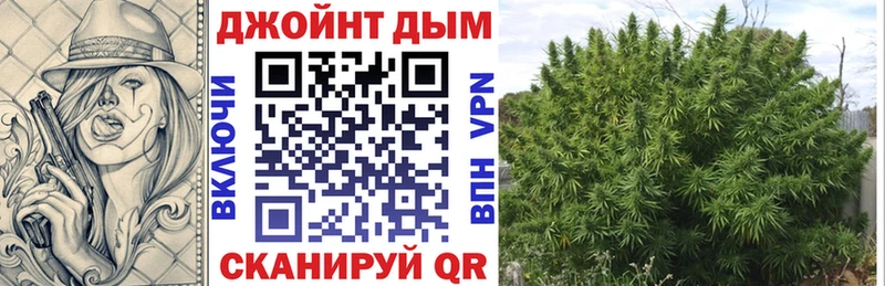 МАРИХУАНА планчик  Луга 